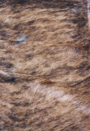 Hide & Leather House Cowhide Rug