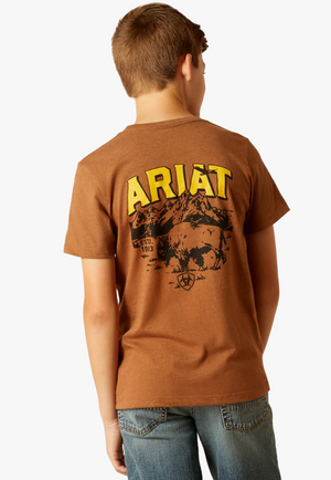 Ariat Boys Bison Sketch Shield T-shirt