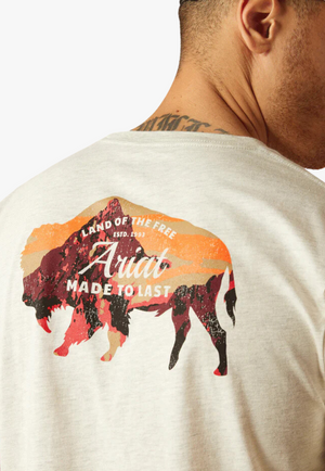 Ariat Mens Bison Landscape T-Shirt