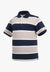 Pilbara Mens Striped Polo