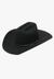 Twister HATS - Felt Twister Kids Wool Cowboy Hat
