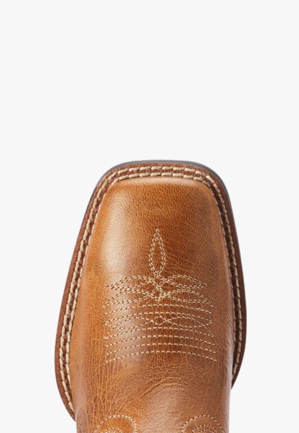 Ariat harvester 2025