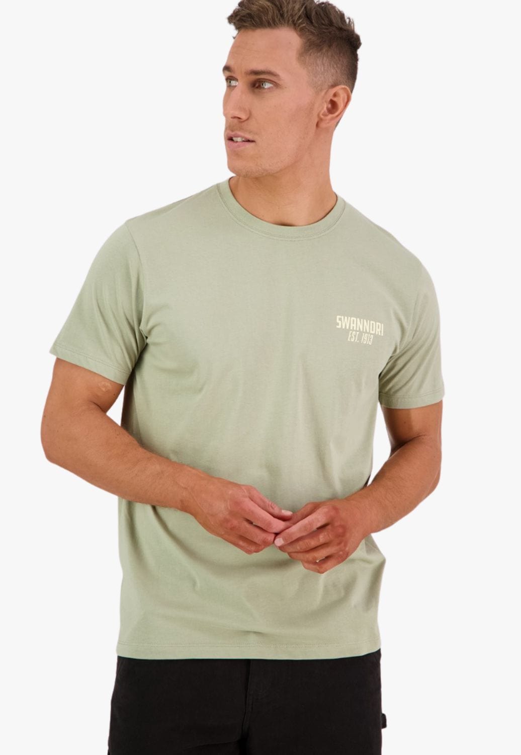 Swanndri CLOTHING-MensT-Shirts Swanndri Mens Peak Stamp Print T-Shirt
